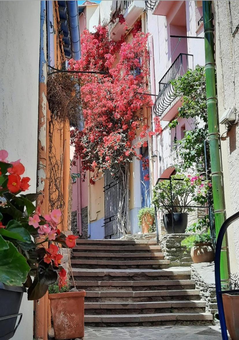 Studio Collioure Mouret Ngoại thất bức ảnh